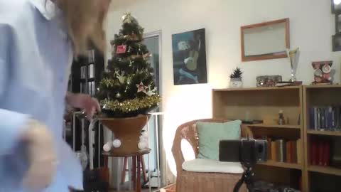 Alice online show from 12/17/24, 02:55