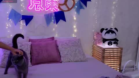 Snapshot of alice_charmy chatting on 09/29/25, 05:23 Alice in Wonderland online show from 09/29/25, 05:23