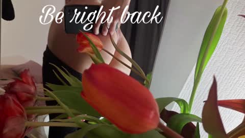 Snapshot of alice_dias chatting on 12/26/24, 12:49 alice_dias online show from 12/26/24, 12:49