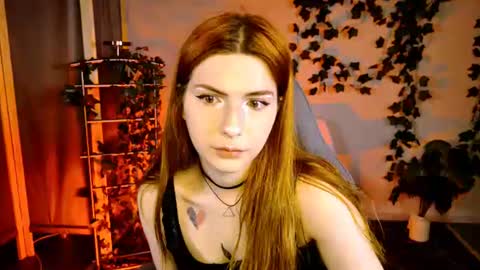 Alice online show from 07/24/26, 05:16