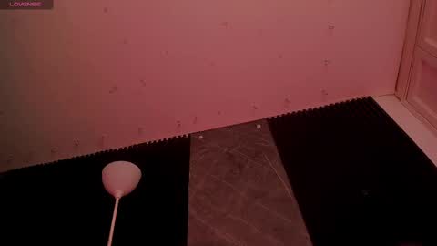 ALICE  online show from 11/12/25, 06:36