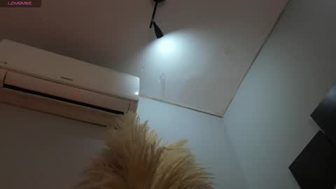 ALICE  online show from 11/25/25, 02:55