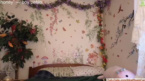 Snapshot of aliceriverscam chatting on 01/04/25, 07:44 Alice Rivers ---- Enter my public Discord- online show from 01/04/25, 07:44