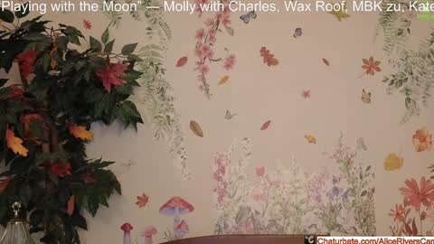 Snapshot of aliceriverscam chatting on 01/10/25, 09:31 Alice Rivers ---- Enter my public Discord- online show from 01/10/25, 09:31