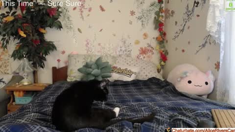 Snapshot of aliceriverscam chatting on 01/18/25, 08:40 Alice Rivers ---- Enter my public Discord- online show from 01/18/25, 08:40