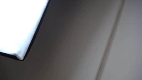 Snapshot of alicia_wonder_dl chatting on 01/04/25, 12:16 Ali online show from 01/04/25, 12:16