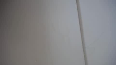 Snapshot of alicia_wonder_dl chatting on 02/17/25, 12:05 Ali online show from 02/17/25, 12:05