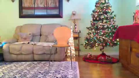 Alicia deHart  Help me reach 1000 Followers. Its FREE online show from 12/14/25, 07:51