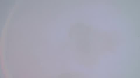     online show from 02/14/25, 01:34