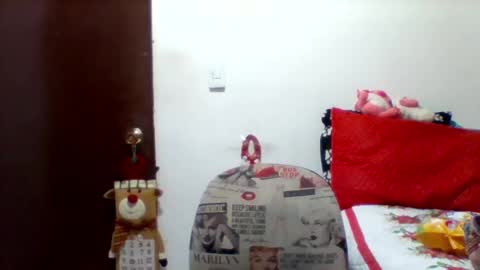 Snapshot of alisson_brand chatting on 12/27/24, 11:50 alisson brand online show from 12/27/24, 11:50