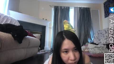 Alize Zaide online show from 11/17/25, 08:58