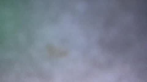 Snapshot of all_most_sane chatting on 05/17/26, 03:30 all_most_sane online show from 05/17/26, 03:30