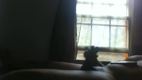 Snapshot of allbermy chatting on 11/11/25, 06:08 allbermy online show from 11/11/25, 06:08