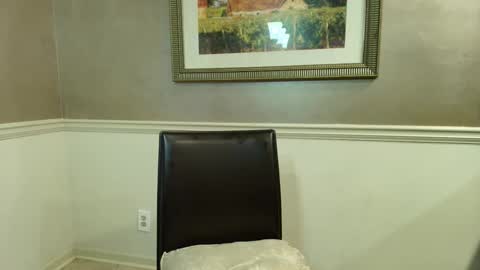 wishlist on bio online show from 03/23/26, 05:39