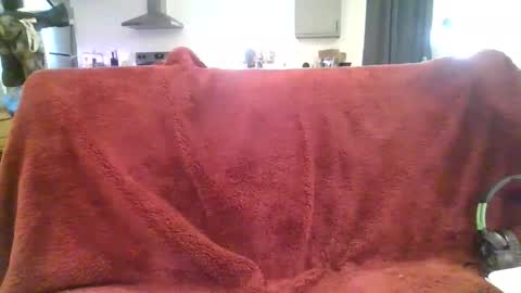 alliebearx online show from 03/03/25, 09:26