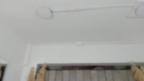    online show from 02/02/26, 10:47