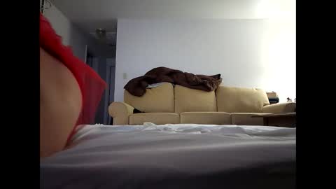 alllursss online show from 12/20/24, 12:05