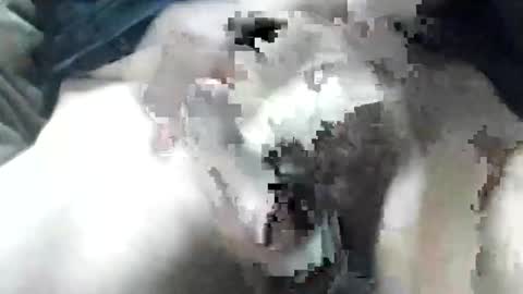 allways395 online show from 09/28/25, 03:34