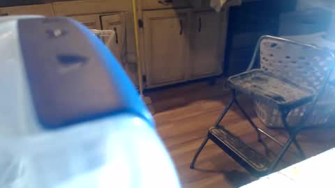 allwolf0323 online show from 04/06/26, 06:03