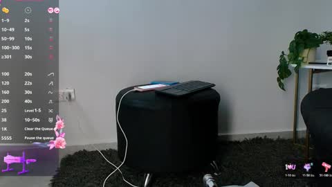 allymdo online show from 11/19/25, 11:43