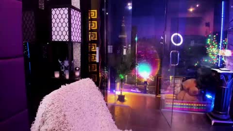 Snapshot of alma_pearl chatting on 05/17/26, 09:38 Alma online show from 05/17/26, 09:38