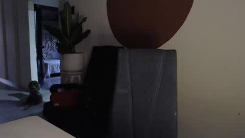 STEPHAN  online show from 12/17/25, 11:27