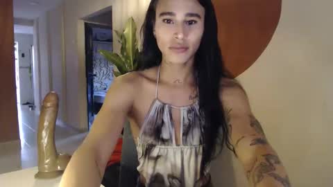 STEPHAN  online show from 01/06/26, 11:47