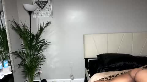 Snapshot of alongcamelexy chatting on 10/09/25, 04:43 alongcamelexy online show from 10/09/25, 04:43