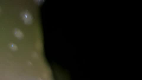 Snapshot of alotta_titties chatting on 02/05/26, 08:41 alotta_titties online show from 02/05/26, 08:41