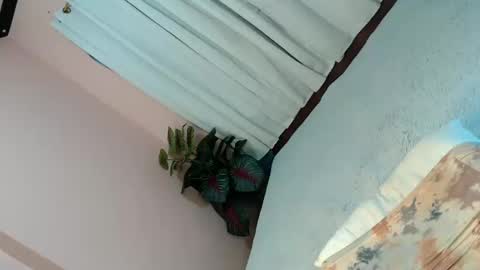 LEXY online show from 02/04/25, 05:12