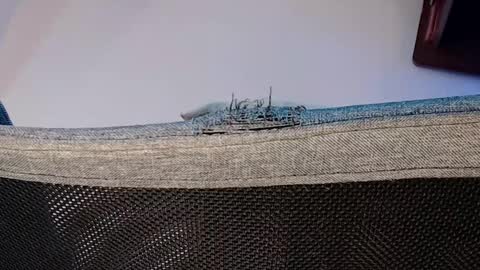 Shane online show from 11/01/25, 08:11