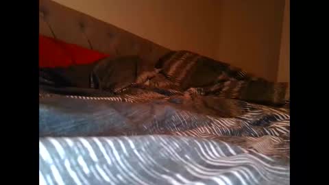 Snapshot of alwaysdownforwhatev chatting on 10/26/25, 04:40 alwaysdownforwhatev online show from 10/26/25, 04:40