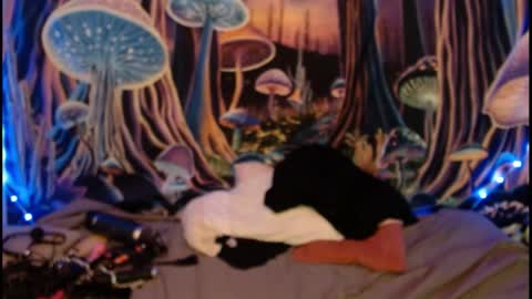 alyssaarcane online show from 05/28/26, 09:34