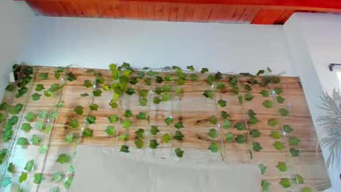 alyssia online show from 02/12/25, 03:38