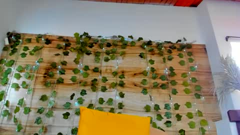 alyssia online show from 02/18/25, 04:26