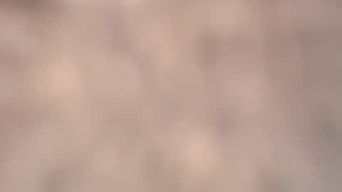 valentia online show from 03/06/26, 02:24