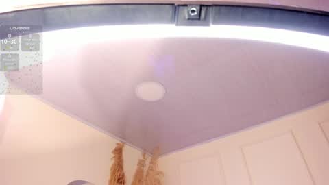Amara Lewis online show from 01/24/25, 12:10