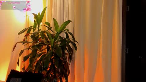 Amatista online show from 10/11/25, 11:25