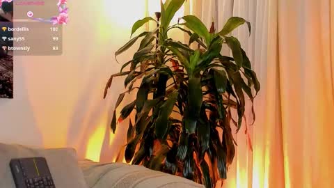 Amatista online show from 11/01/25, 11:07