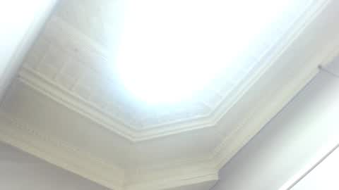 amazingshazz online show from 05/11/26, 04:04