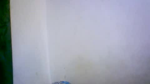 ambar166 online show from 12/17/25, 11:00