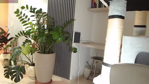 Snapshot of ambarhill chatting on 01/22/25, 04:02 Ambar online show from 01/22/25, 04:02