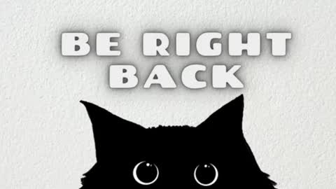 Snapshot of ambarsantany chatting on 02/04/25, 11:49 AmbarSantany online show from 02/04/25, 11:49