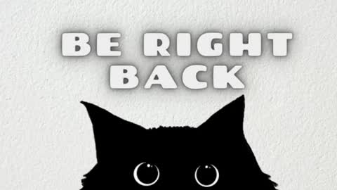 Snapshot of ambarsantany chatting on 02/22/25, 03:34 AmbarSantany online show from 02/22/25, 03:34