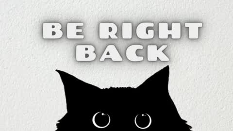 Snapshot of ambarsantany chatting on 03/10/25, 11:49 AmbarSantany online show from 03/10/25, 11:49