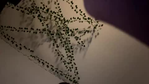 Snapshot of amberispurple chatting on 12/08/24, 04:04 AmberIsPurple online show from 12/08/24, 04:04