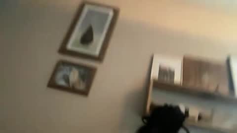 Snapshot of ambermoss7 chatting on 06/10/26, 03:44 ambermoss7 online show from 06/10/26, 03:44