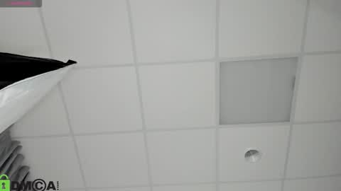 Snapshot of ameli_povilainn chatting on 12/19/25, 03:02 Ameli online show from 12/19/25, 03:02