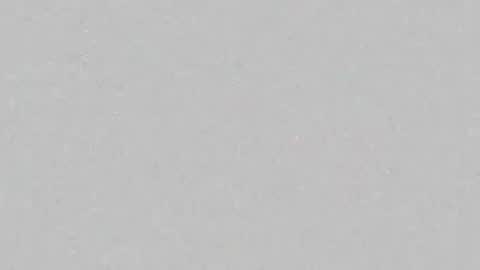 amelia online show from 05/13/26, 09:55