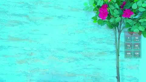  AMELIA.  online show from 03/14/26, 02:17